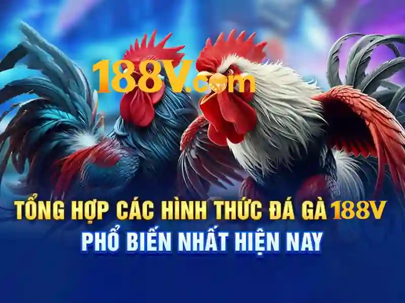 Ứng dụng và tác động của 188v