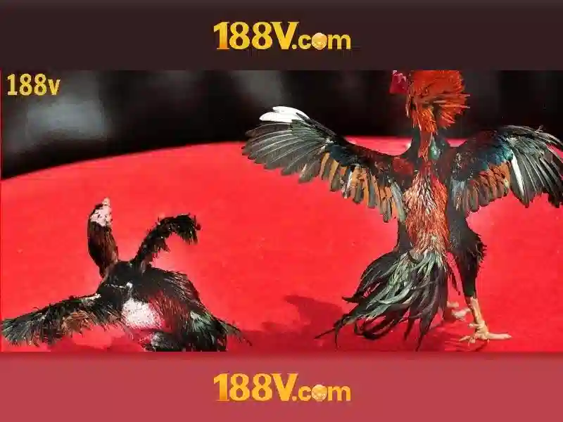 Khởi đầu với 188V