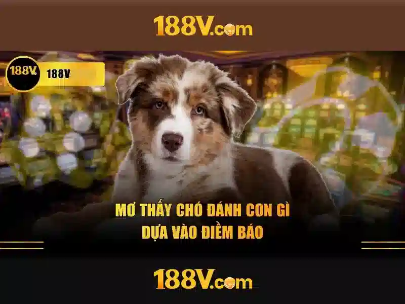 Khái niệm 188v