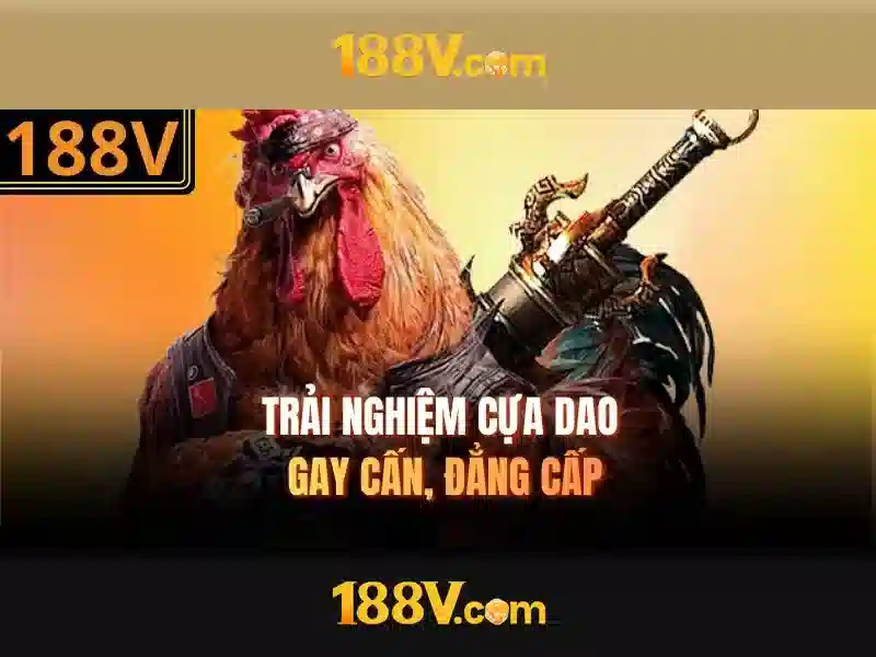 Nguồn gốc và định nghĩa
