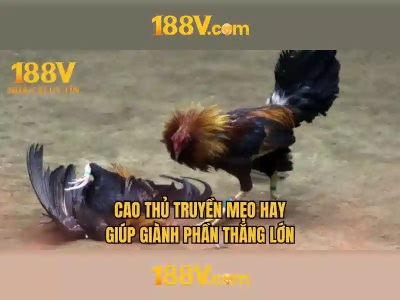 Ứng dụng của 188v trong đời sống hàng ngày