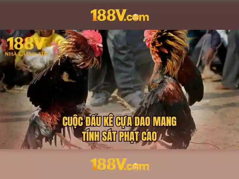 Nguồn gốc và ý nghĩa