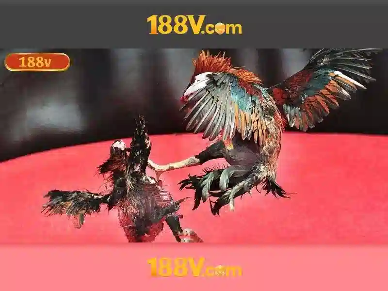 Nguồn gốc và ý nghĩa