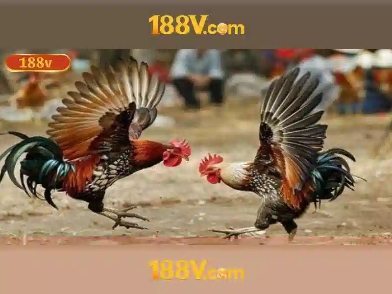 188v: hành trình của một biểu tượng công nghệ Giao diện nhà cái hoàn hảo