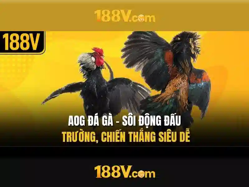 188v là gì?>