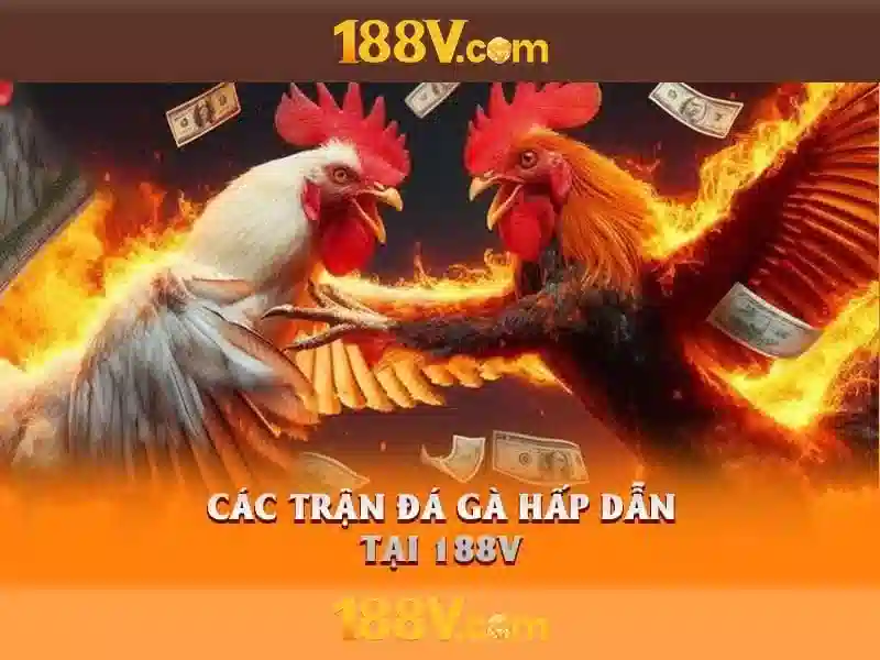 Khởi nguồn và mục tiêu