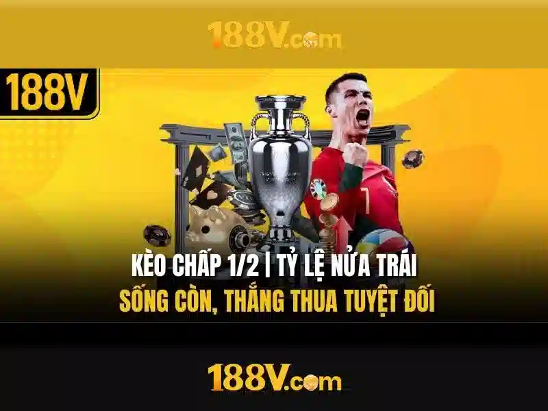 Thông tin liên hệ 188v