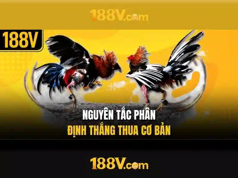 Giao diện nhà cái hoàn hảo