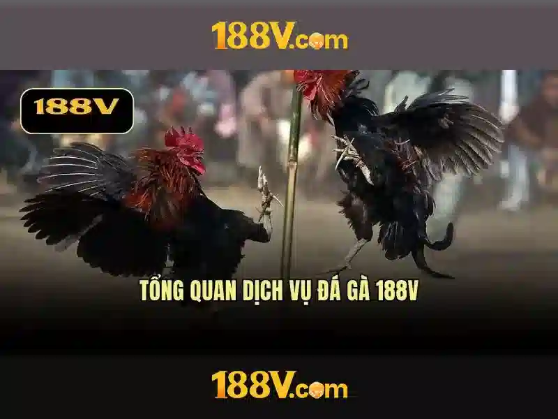 Khái niệm 188v và nguồn gốc của nó