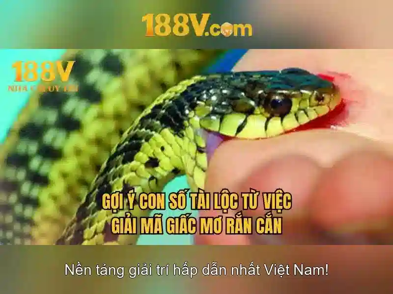 188V: Định nghĩa và nguồn gốc