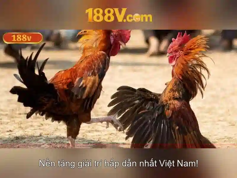 188V: những điều cần biết về điện áp 188V Giao diện nhà cái hoàn hảo