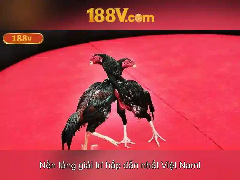 An toàn và rủi ro khi làm việc với 188v