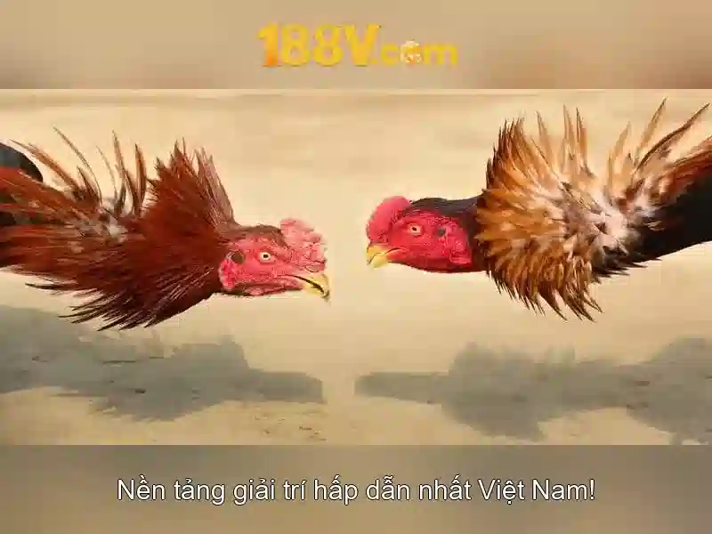 188v: Khám phá một khía cạnh công nghệ Giao diện nhà cái hoàn hảo