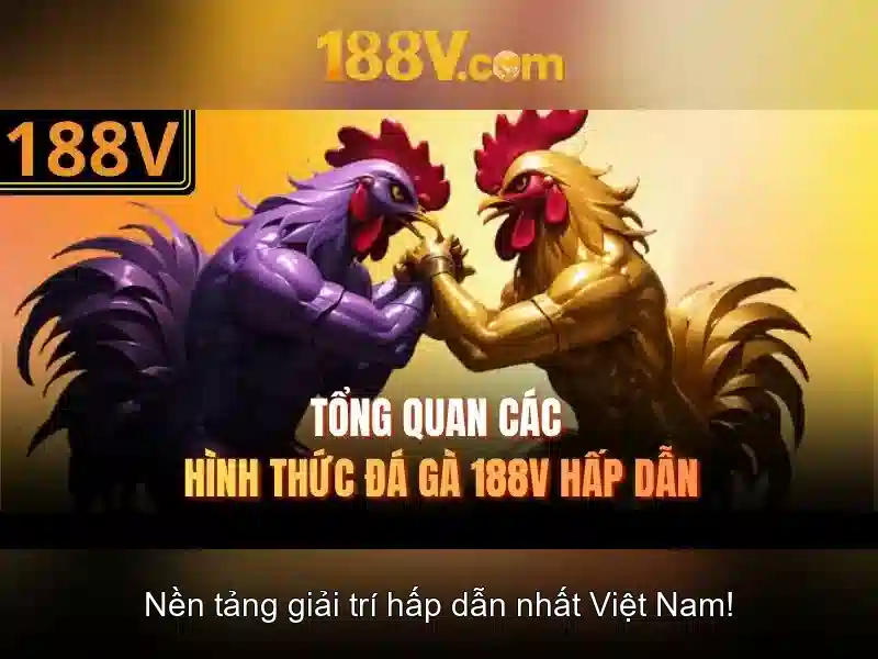 Văn hóa và cuộc sống người dân