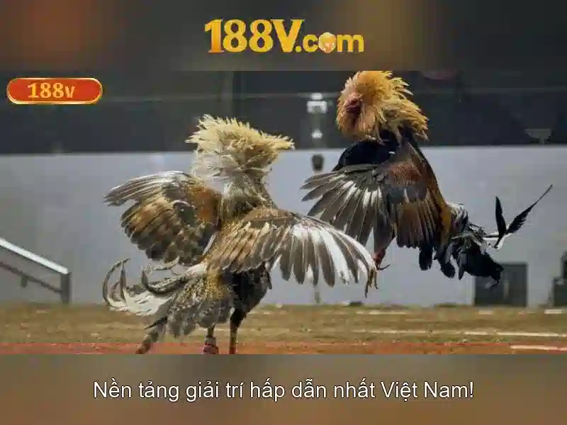 Nguồn gốc và ý nghĩa