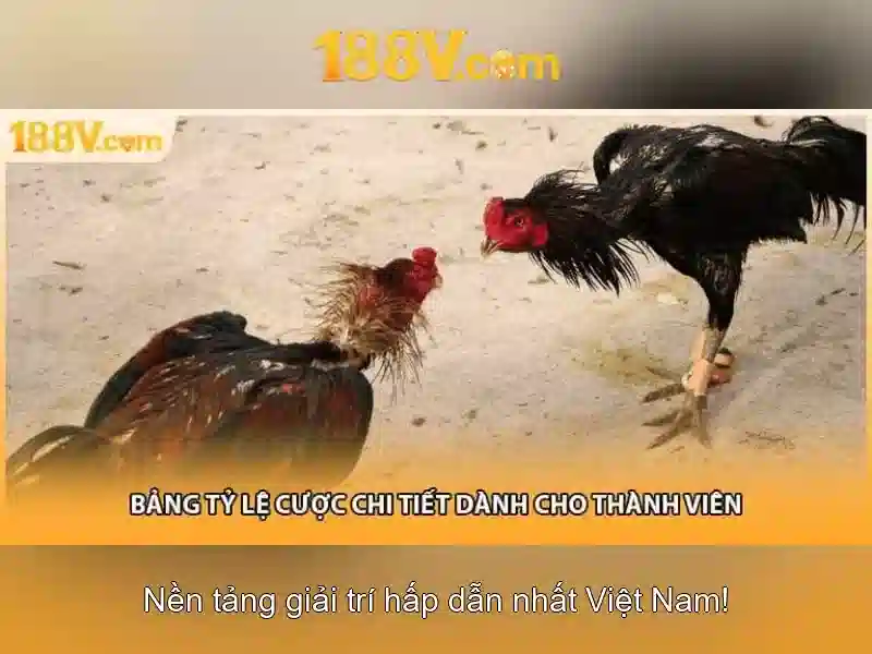 188V là gì?