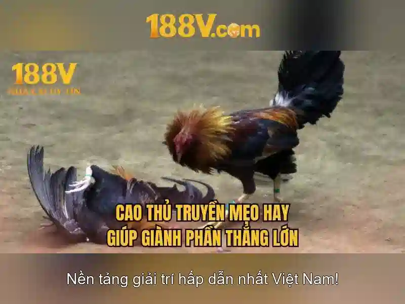 Nguồn gốc và sự lan tỏa