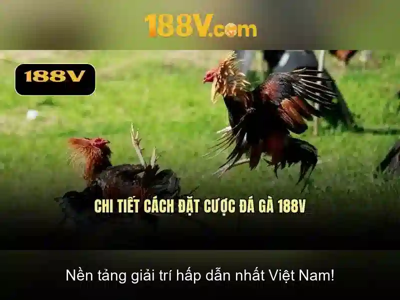 Giao diện nhà cái hoàn hảo
