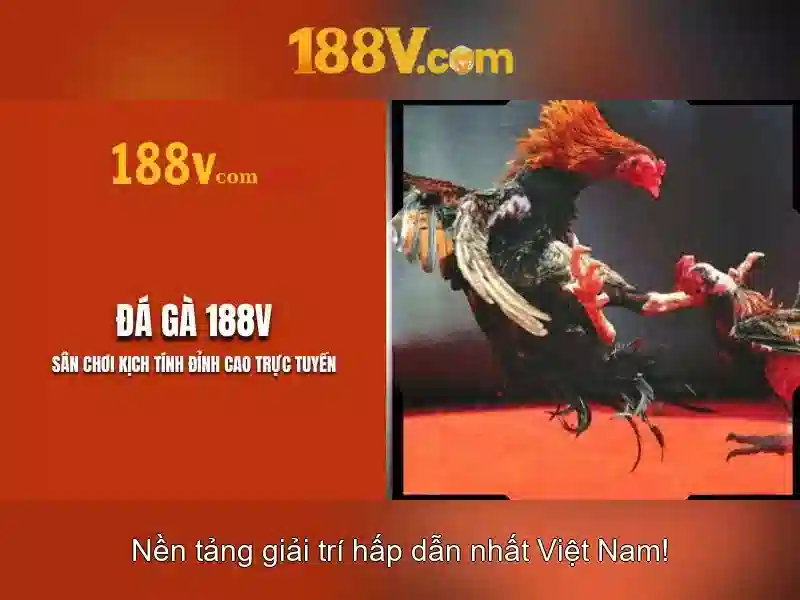 Giao diện nhà cái hoàn hảo